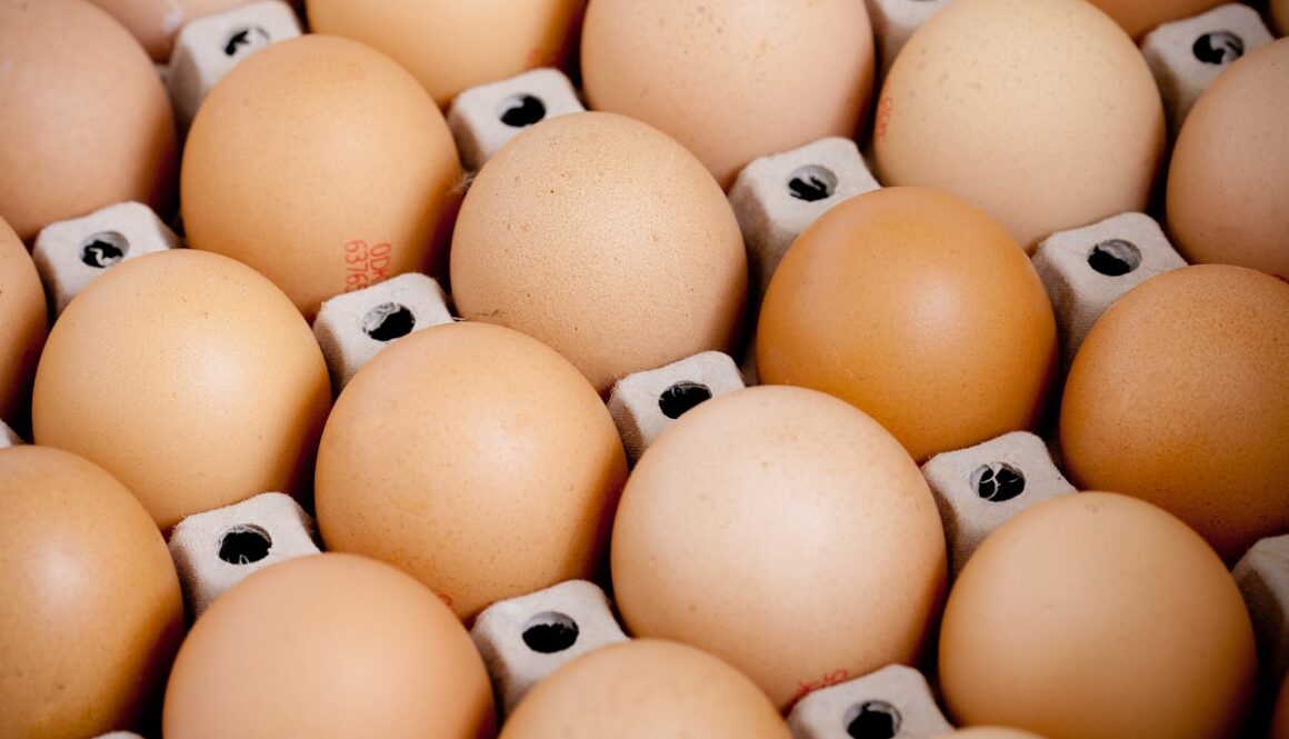 a bunch of eggs that are in a box