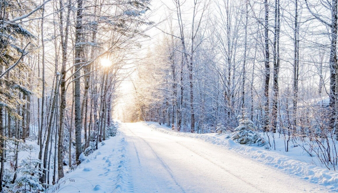 stop and smell the snow