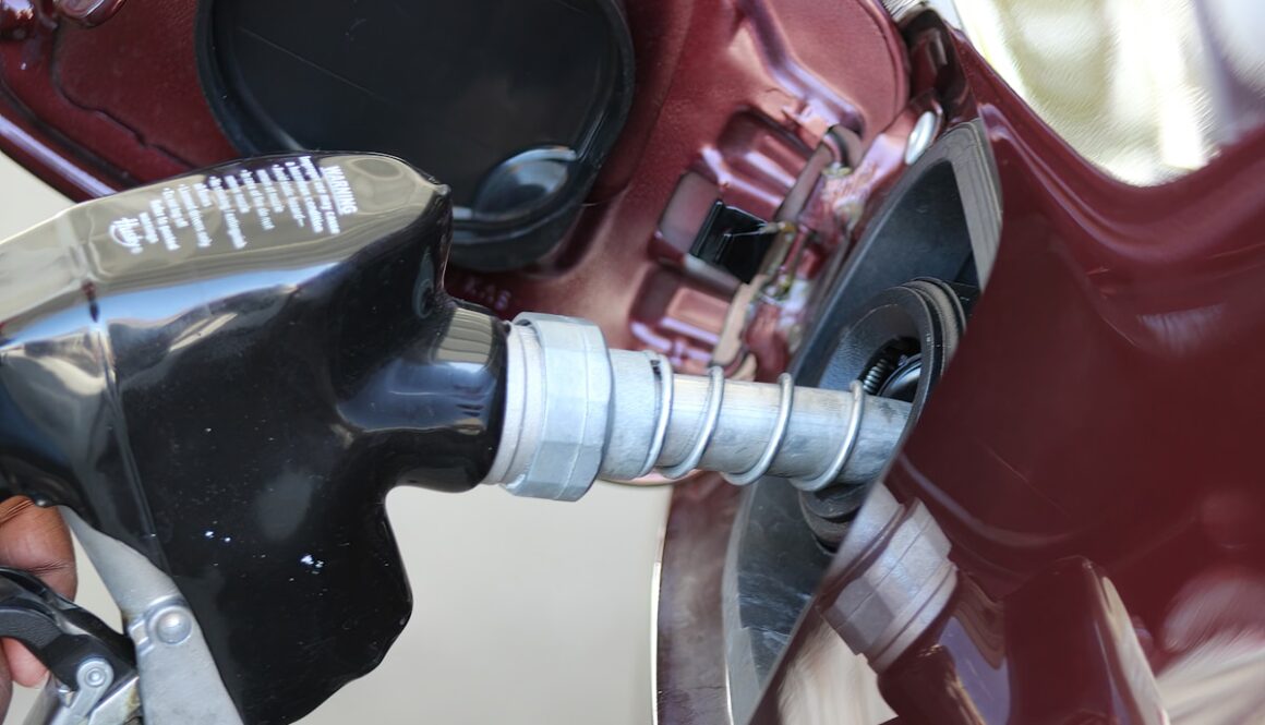 a close up of a person holding a gas pump