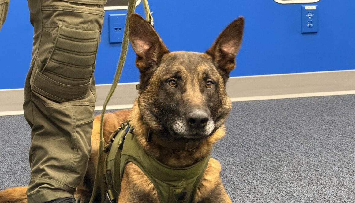 K9 Unit Police Service Dog Becks at the Nishnawbe Aski Police Service Headquarters in Thunder Bay (Sam Goldstein/January 9, 2026)