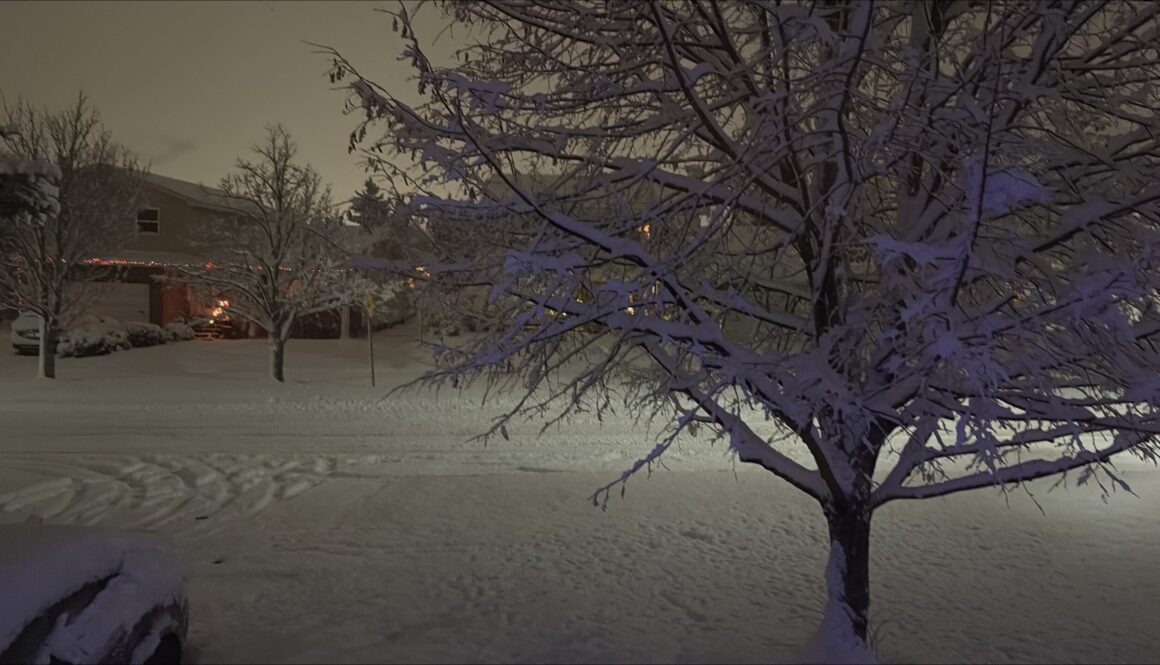 First snowfall of 2026 in NB