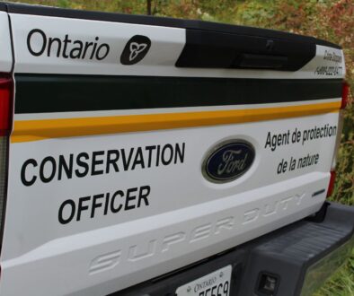 Ontario Conservation