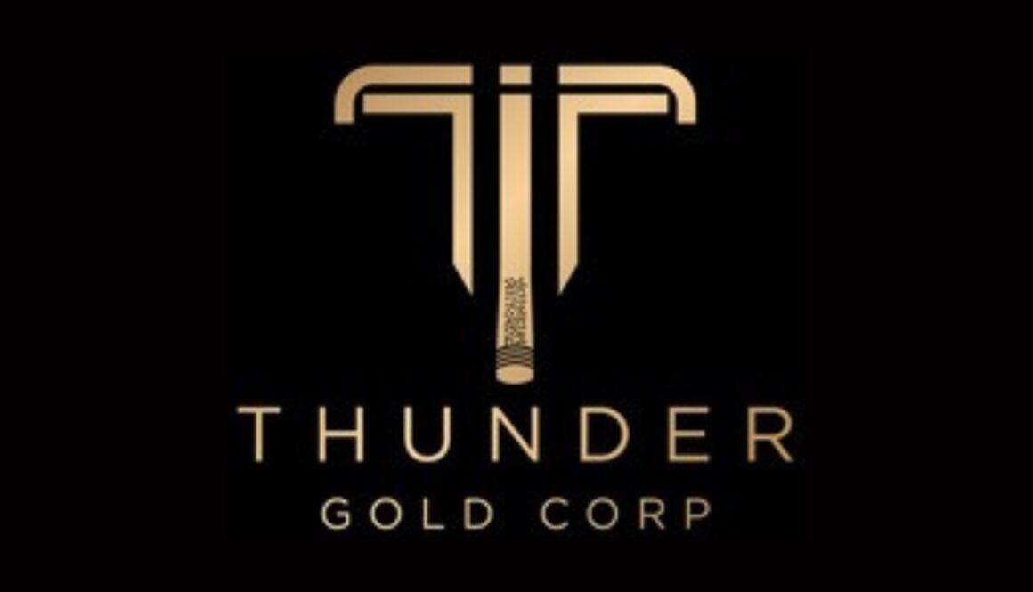 Thunder Gold logo