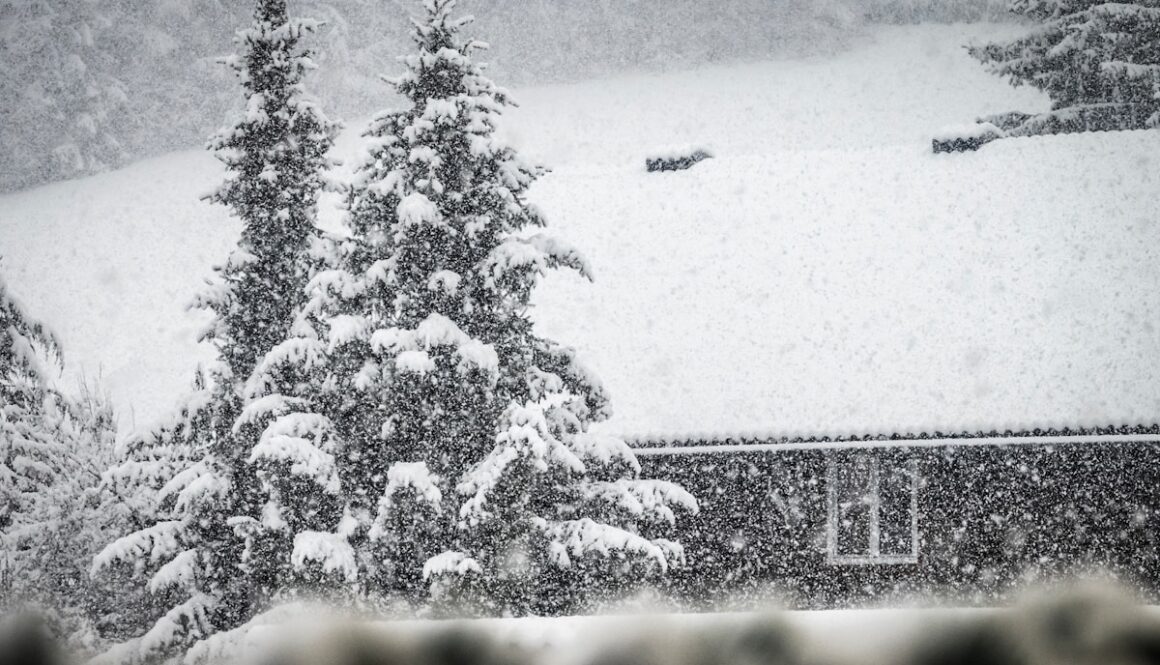 a house covered in snow next to trees
