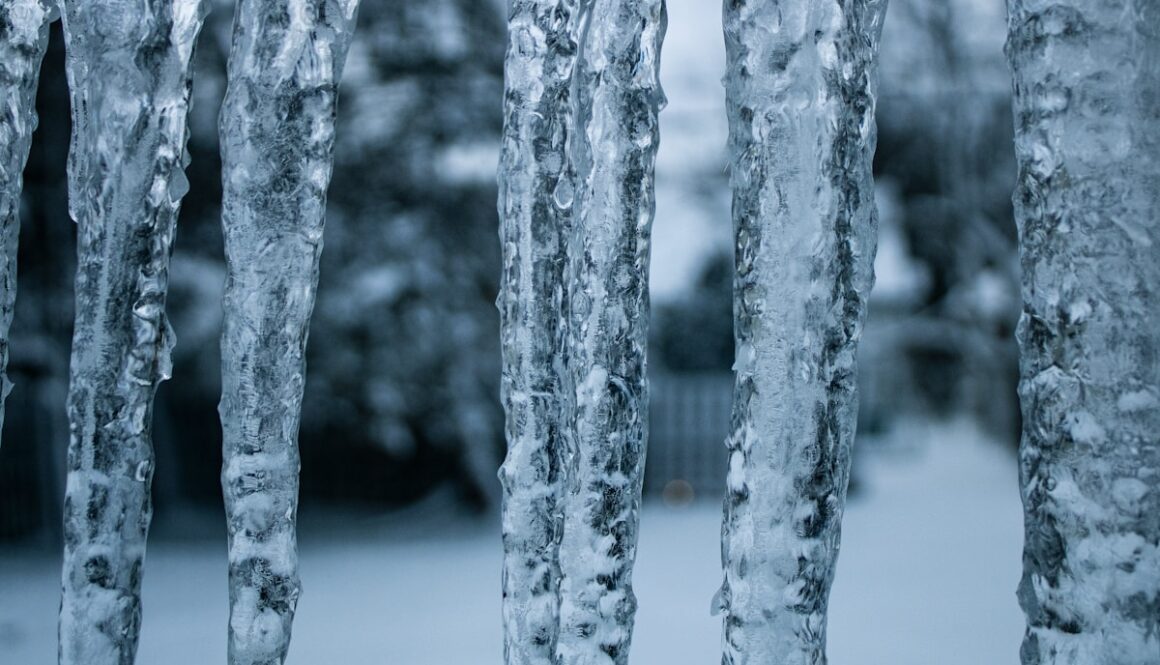 a bunch of ice covered trees in the snow