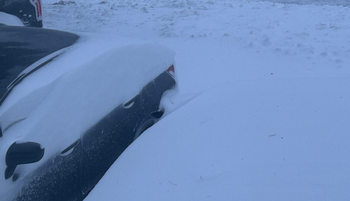 Winter storm Moncton (February 2026) (Image: Tara Clow)