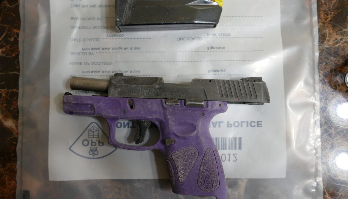 Seized Firearm