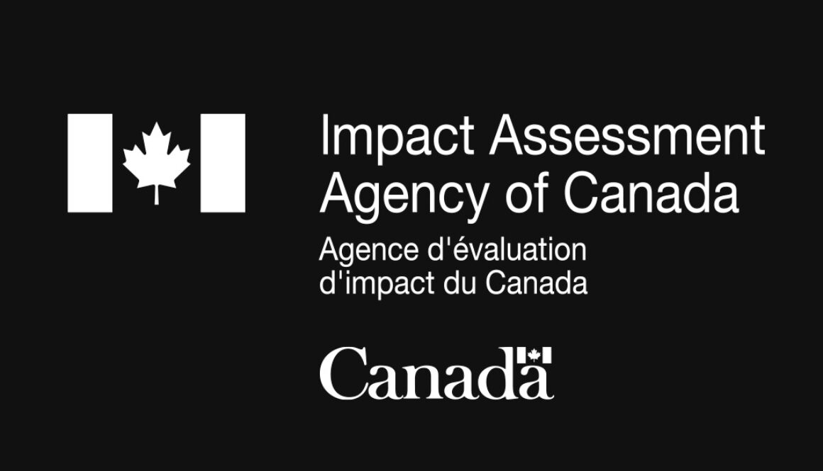 impact assessment agency