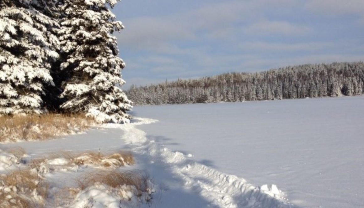 kenora lake winter trail