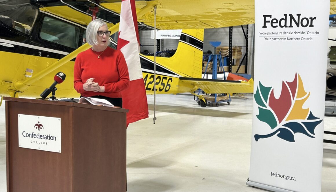 patty hajdu aviation
