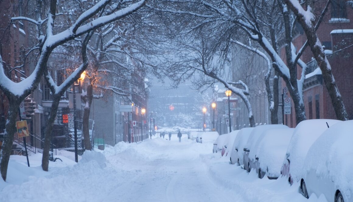 snow covers cars parked on road side