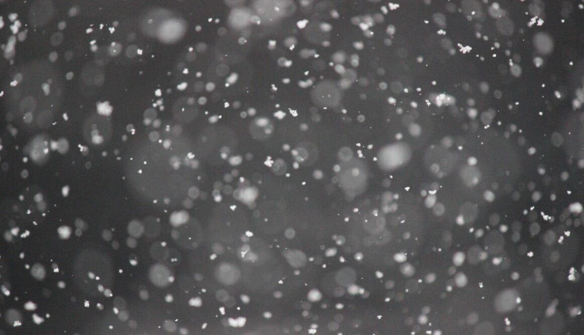 bokeh photography of snows