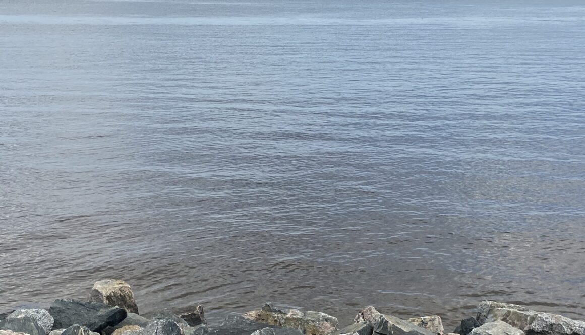 Rainy Lake water levels Aug 2025 (6)