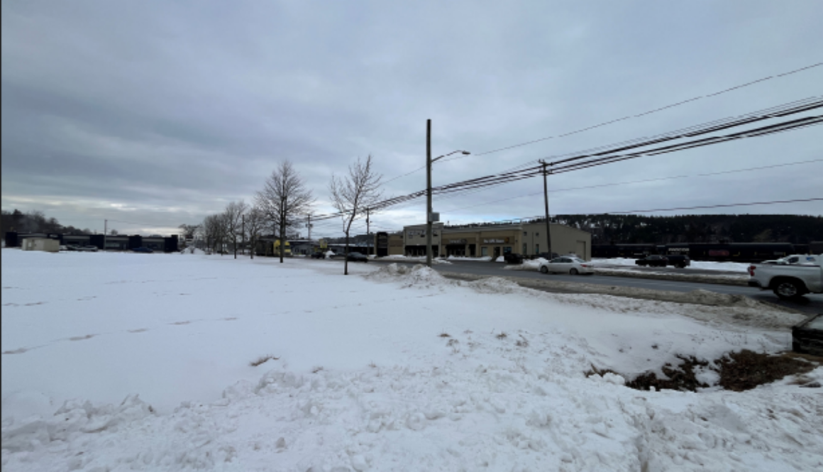 Screenshot 2026-03-13 115625