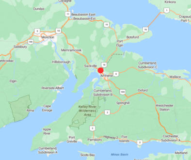 Screenshot 2026-03-19 081222