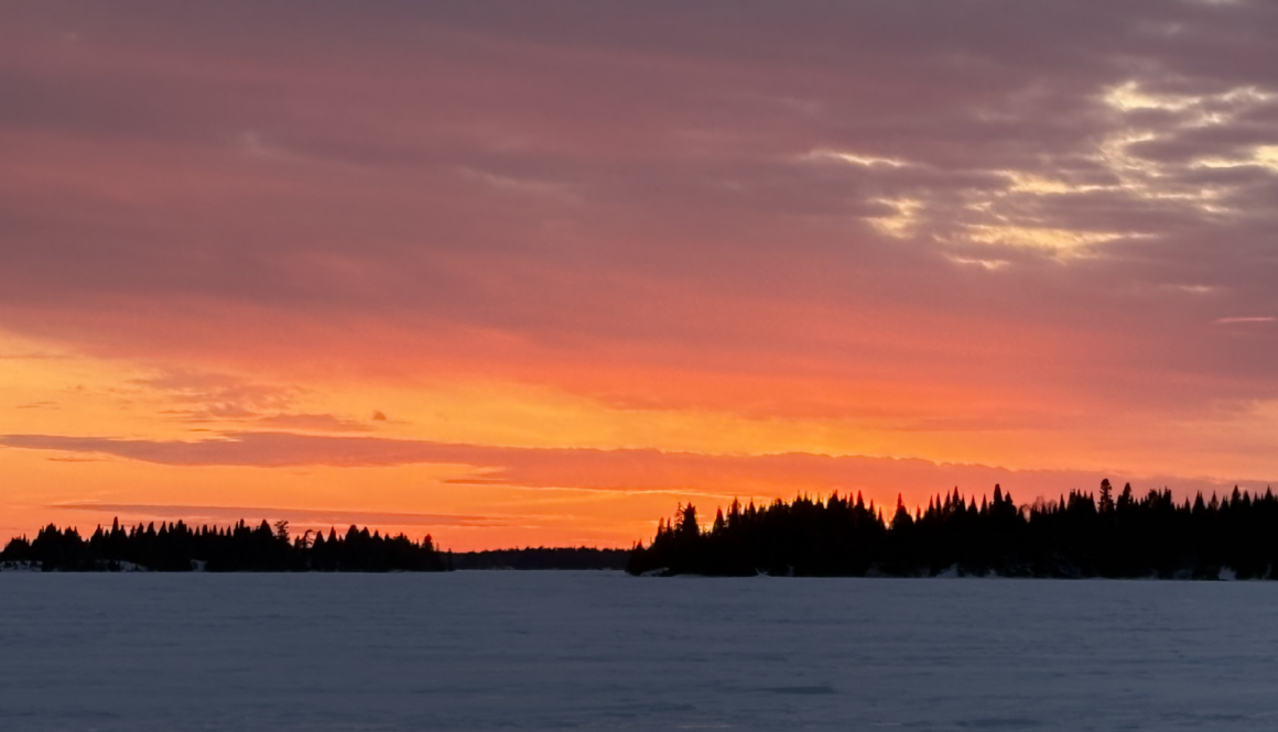 Untitled design (16)