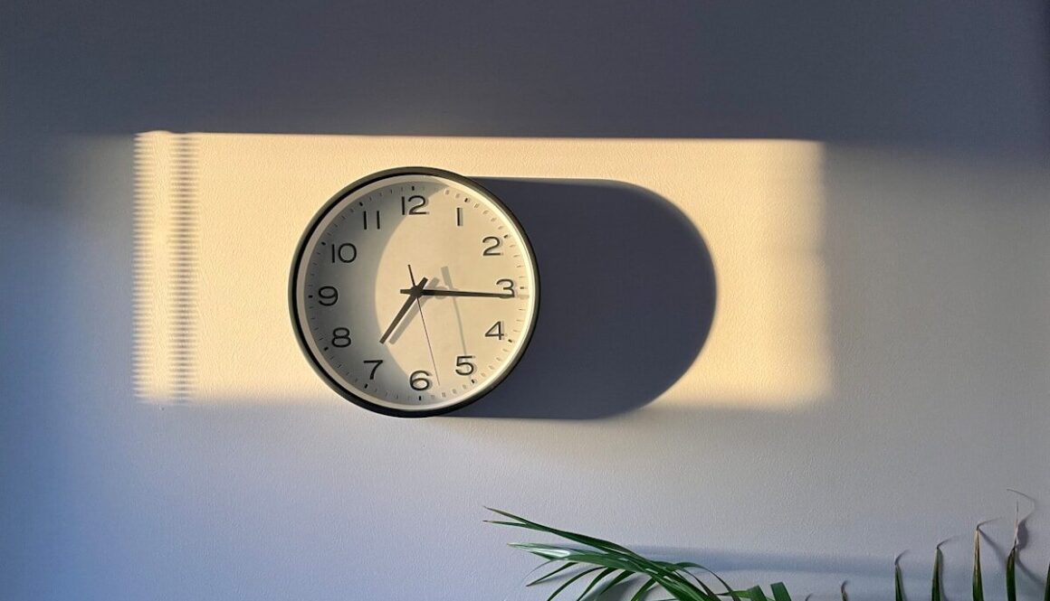 a clock on a wall with a plant next to it