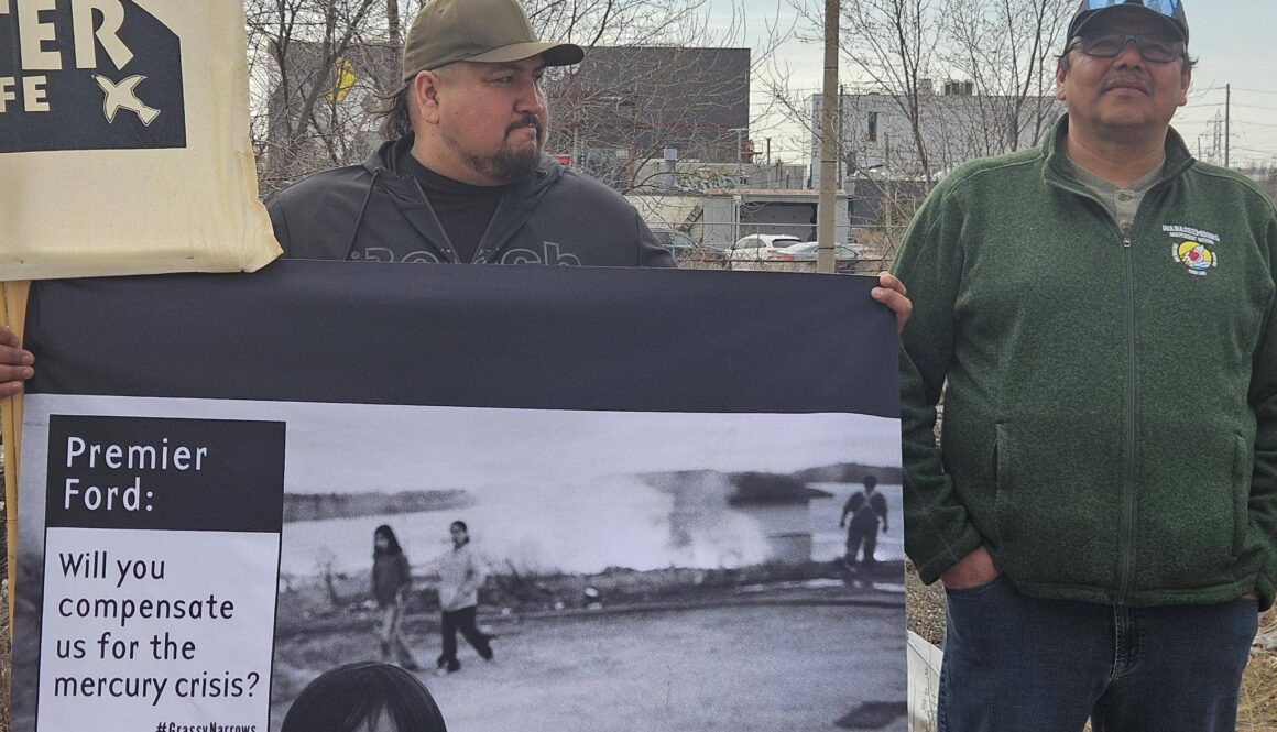 grassy rally toronto