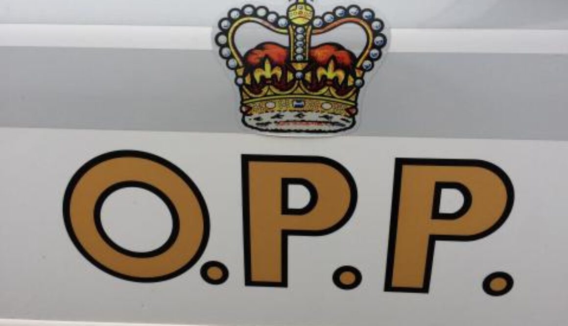 opp car logo