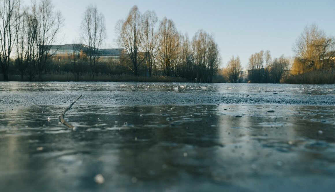 a body of water with trees in the background