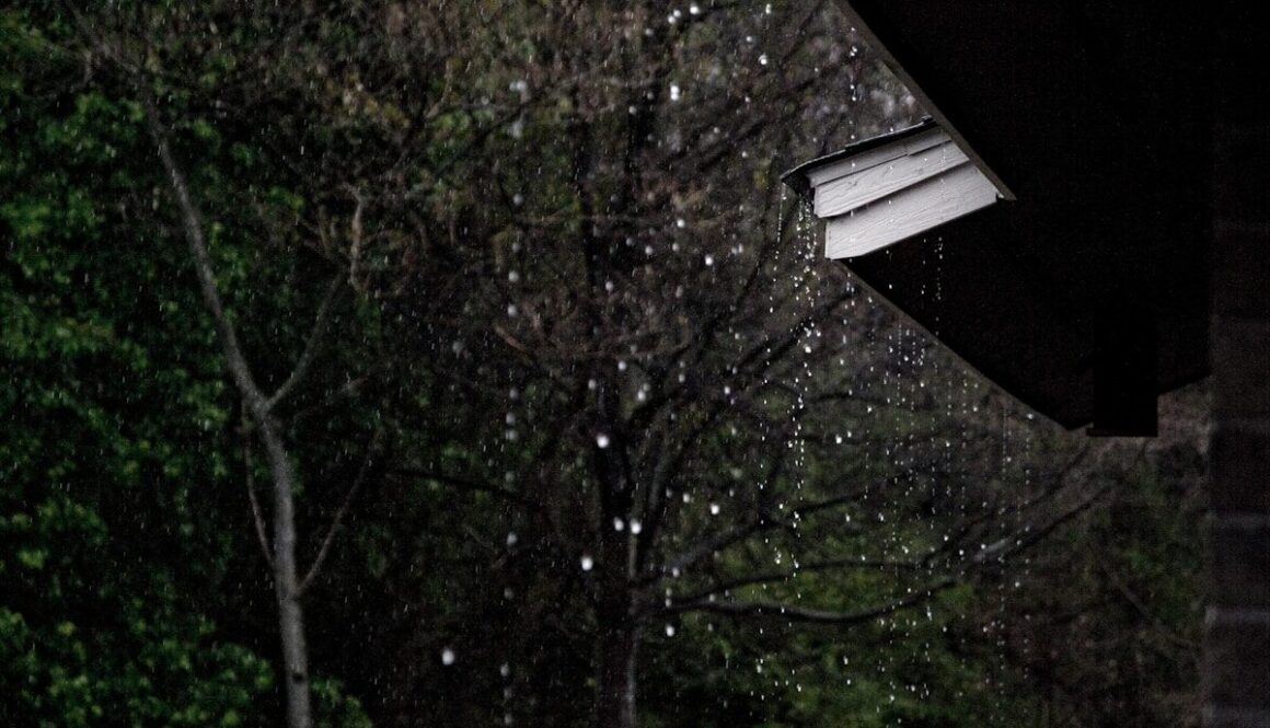 rain dropping from roof