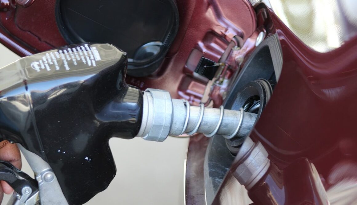a close up of a person holding a gas pump