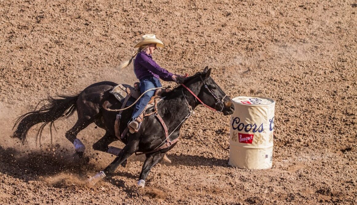 woman riding on black horse on brown field