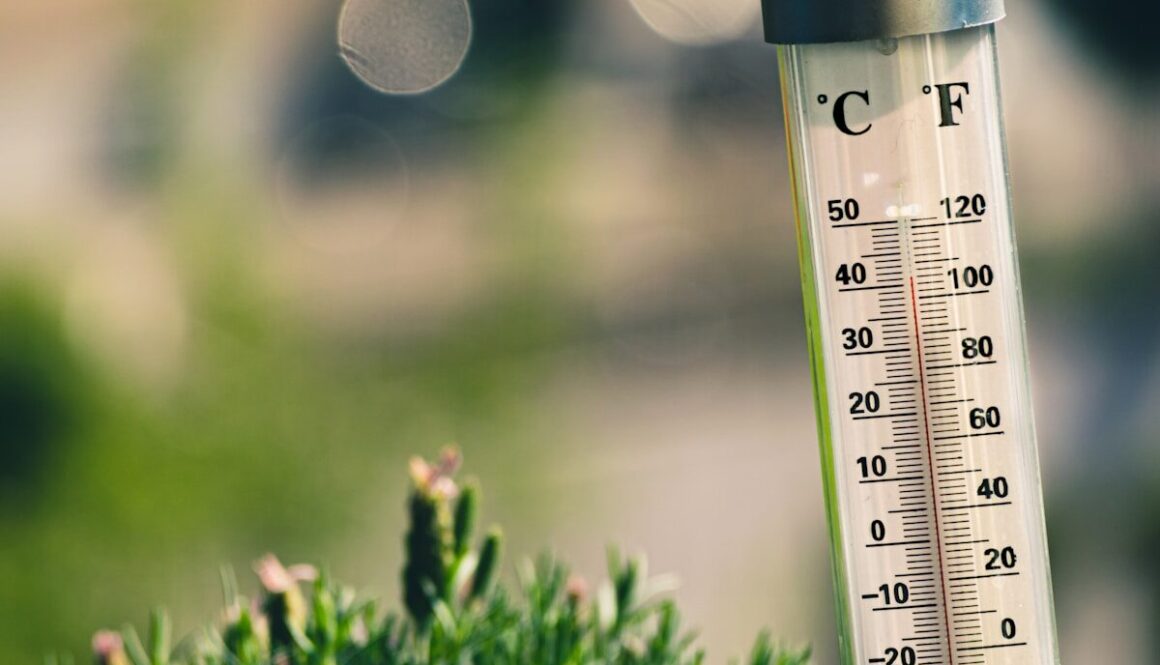 bokeh photography of thermometer on plant