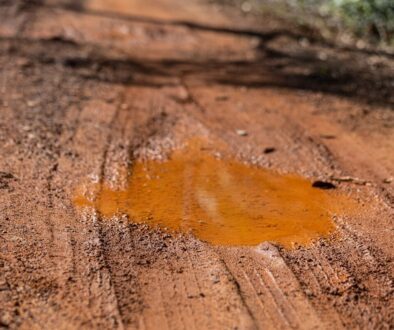A puddle sits on a dirt path.