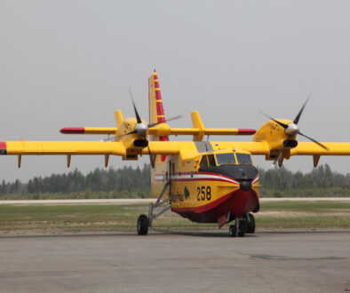 Forest Fire - Waterbomber