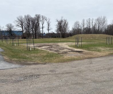 Green space on Lily avenue Apr 29 2026 (1)