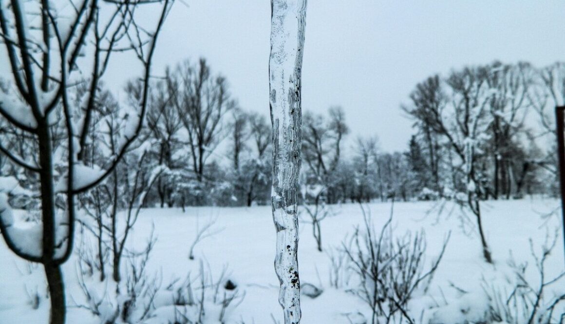 a snow covered field with trees in the background