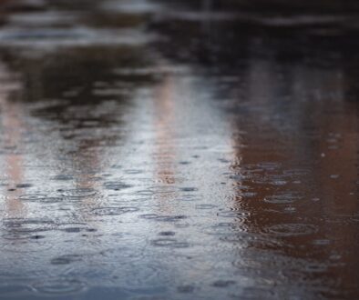 a close up of rain drops on a wet surface