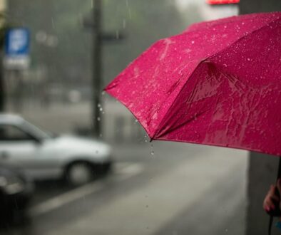 pink umbrella