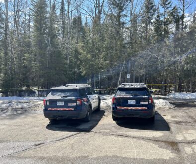 police at obulevard lake