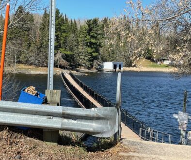 Coney footbridge spring