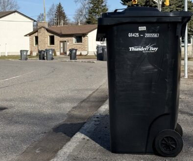 Garbage cart