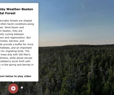 NS NATURE TRUST VIRTUAL TOUR SITE