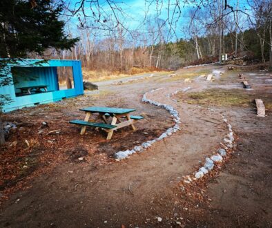 Rockwood mountain bike skills park