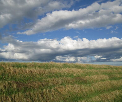 Tantramar Marshes, NB