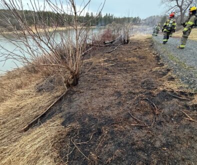 dryden grass fire