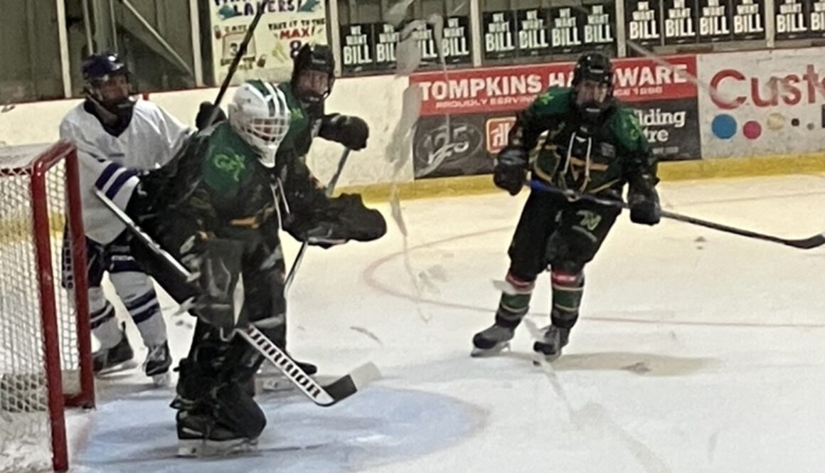 north stars 2