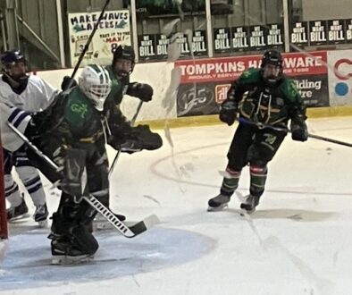 north stars 2