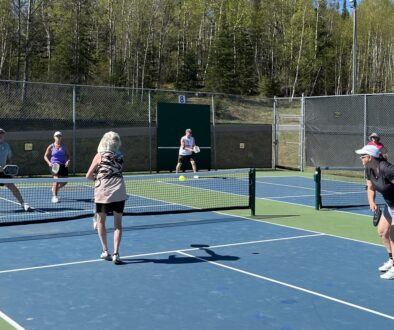 pickleball ladder