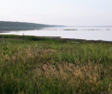 a large body of water sitting next to a lush green field