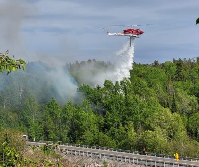redditt forest fire