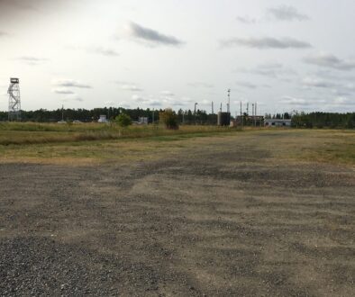 Shevlin Wood Yard (2)(1)
